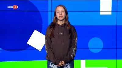 Кои растения са безопасни за домашни любимци?