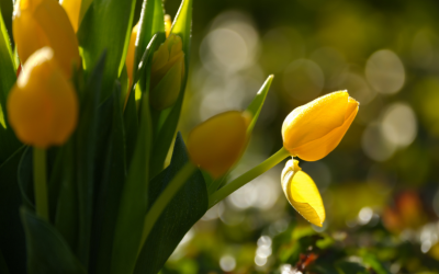 Слънчево и топло време в страната