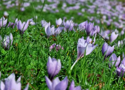 Ще се задържи ли топлото време до края на седмицата?