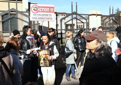 Поредно заседание по делото срещу Габриела и Красимир за насилието над животни