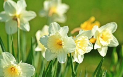 Слънчево време до края на седимцата