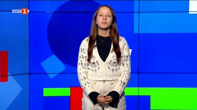 Пет лъва бяха спасени в Нова Зеландия