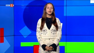 Кампания за помощ на улични котки започна в София