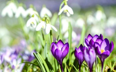 Слънчево и с временно увеличение на облачността над планините