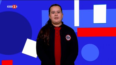 Три малки лъвчета са най-новото попълнение в зоопарка в Стара Загора