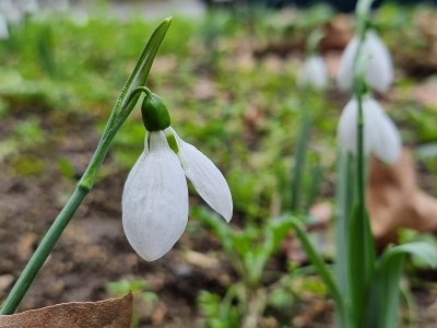Повече слънчеви часове през почивните дни