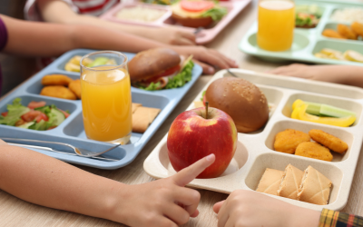 Започнаха проверки на храните в училищата в цялата страна