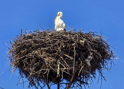 Слънчевото време продължава, понижение на температурите се очаква през новата седмица