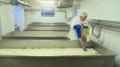 КЗК проверява доставните цени на млечните продукти във веригите