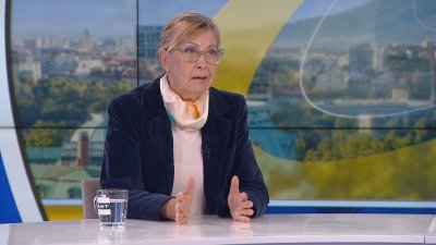 Проф. Светлана Велизарова: Напуснахме педиатрията, за да &bdquo;спасим себе си и душите си