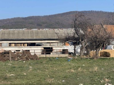 Разкриха схема за контрабанда на месо от Румъния