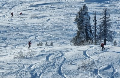 10 години Vitosha X Lines: Над 50 фрийрайдъри превзеха склоновете на Витоша