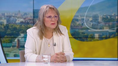 В държавните психиатрични болници един лекар се грижи за 10 пациенти, каза Цветеслава Гълъбова