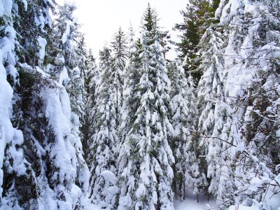 Four Teenagers Found Safe After Getting Stranded in the Area of Maritsa Hut