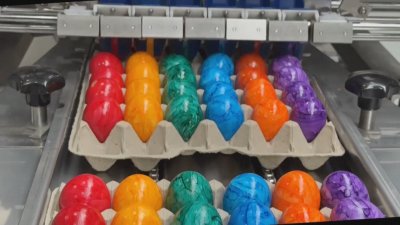 В очакване на Великден: Фабрика в Германия произвежда боядисани яйца