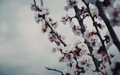 Ветровито и хладно време, с валежи от дъжд през следващите дни