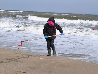 Заради мъртви птици: Басейнова дирекция ще изследва водни проби от Шабленското езеро
