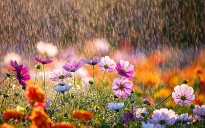 Дъждовен и по-хладен април, валежи се очакват и около Великден