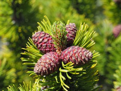 Съществено затопляне предстои в средата на следващата седмица