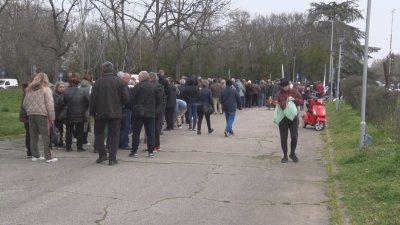 Международен ден на горите: Опашки за фиданки се извиха в Димитровград