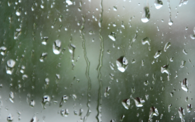 Дъжд и сняг през следващите дни