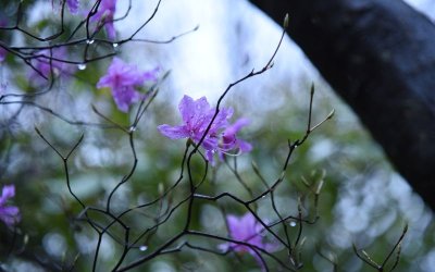 Валежи от дъжд и през почивните дни