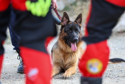 Туристка беше спасена след инцидент в Витоша