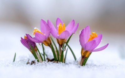 Облачно време и през следващите дни, с валежи от дъжд и сняг