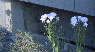 Нов протест във Варна заради тежка катастрофа, при която загинаха две жени на тротоара