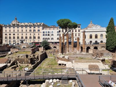 Голямо дърво падна в Рим и рани двама души