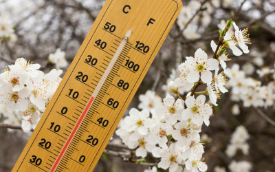 По-ниски температури от обичайните за края на месец март