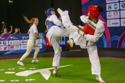 Благоевградският "Фолкън&ldquo; №1 на държавното по Таекуон-До ITF