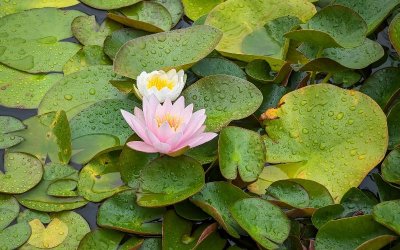 Затопляне в края на тази и началото на новата седмица