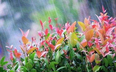 Облачност и превалявания в страната, застудяване през седмицата