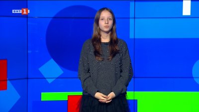 Популацията на делфините в Черно море все още не може да се възстанови