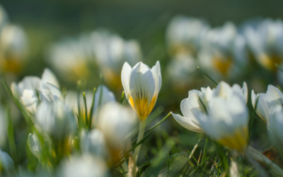 Валежи от дъжд и в петък и събота