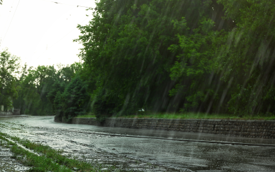 Поройни дъждове заляха Бачково: Затворени улици и свлачища по пътя Асеновград - Смолян