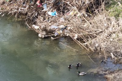 Volunteers Collected around 300 Sacks of Household Waste from the Banks of the Kakach River in Sofia