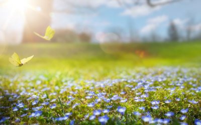 В събота в страната ще е облачно, слънчево време от утре