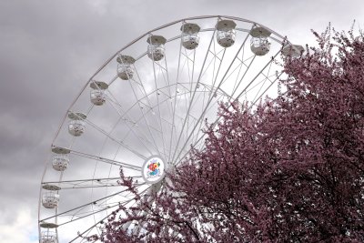 The Highest Ferris Wheel in Bulgaria Opens in Sofia&rsquo;s Knyazheska Garden