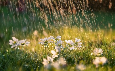 Дъжд, слънце и вятър ще се редуват през праничните дни