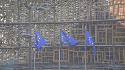 Реакциите след примирието: Световните лидери призоваха за продължаване на преговорите