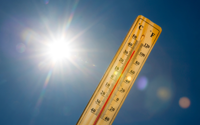 Очаква се затопляне през следващата седмица