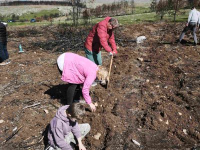 Засадиха част от изгорялата преди година гора над село Безден
