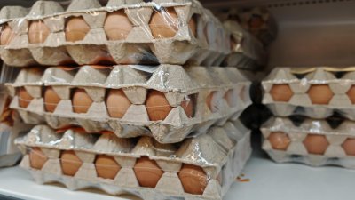 Великден с по-скъпо агнешко месо и яйца &ndash; производители предупреждават за натиск върху цените