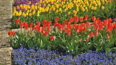 Tulip Parade in Balchik (PHOTOS)