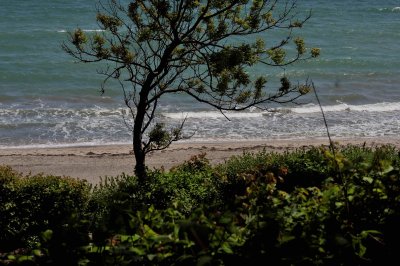 Опасно ветровито остава и в следобедните часове