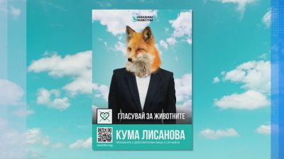 Неправителствени организации с инициатива преди изборите