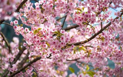 Захлаждане и понижение на температурите до петък
