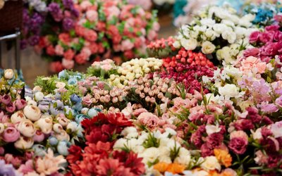 Bulgaria Celebrates Palm Sunday